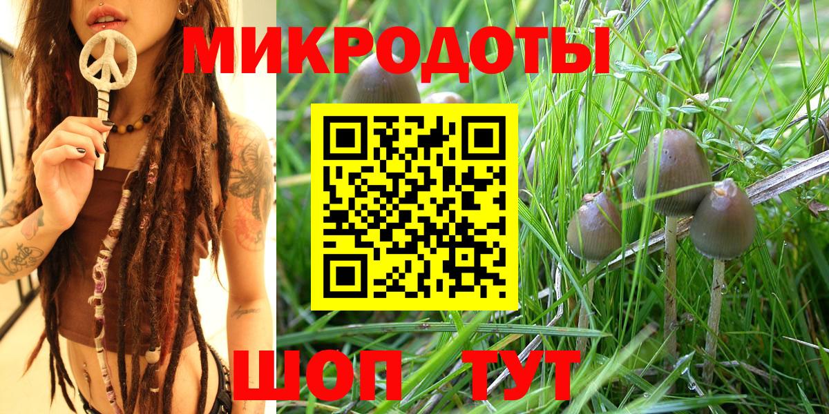 Галлюциногенные грибы мухоморы  Вход с VPN  Псилоцибиновые грибы прущие грибы  Ессентуки 